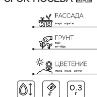 Семена Астра "Желтая башня", ц/п,  0,3 г