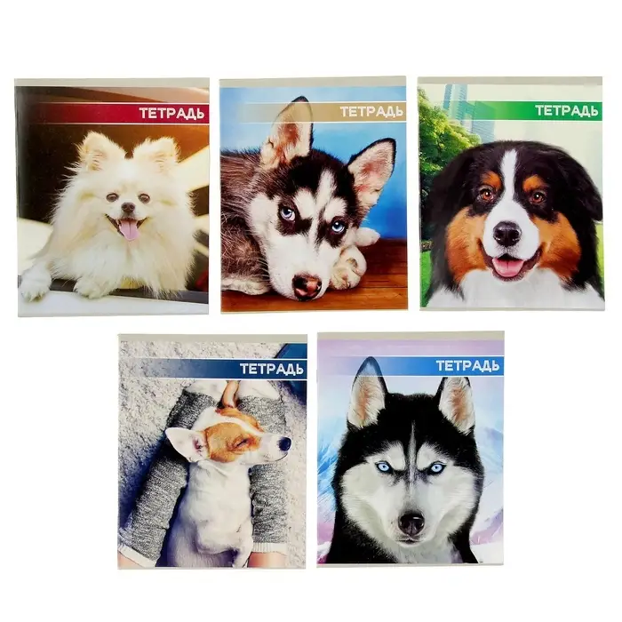 Тетрадь 48 листов в клетку Calligrata &laquo;Собачьи мордочки&raquo;, обложка мелованный картон, блок №2, белизна 75% (серые листы), МИКС