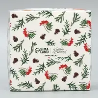 Коробка для кондитерских изделий с пластиковой крышкой &laquo;Счастья в новом году&raquo;, 12 х 6 х 11.5 см