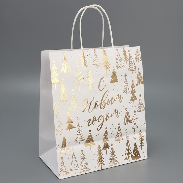 Пакет подарочный новогодний крафтовый &laquo;Новогодняя пора&raquo;, 22 х 25 х 12 см, Новый год