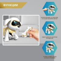 Робот собака &laquo;Чаппи&raquo; IQ BOT, интерактивный: сенсорный, свет, звук, музыкальный, танцующий, на аккумуляторе, на русском языке, золотой