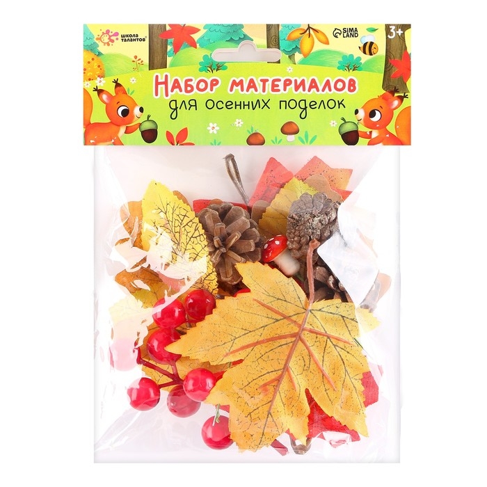 Набор для творчества &laquo;Материалы для осенних поделок. Листья, шишки&raquo;
