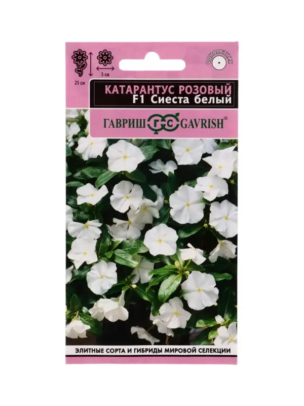 Семена цветов Катарантус Сиеста белый F1* 5 шт.