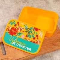 Ланч-бокс прямоугольный &laquo;Цвети от счастья&raquo;, 1200 мл