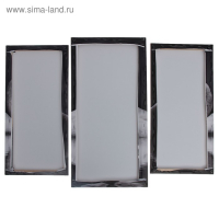 Модульная картина "Лебеди под луной"  (2-25х52; 1-30х60) 60х80 см