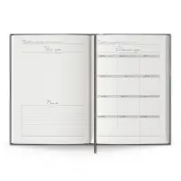 Ежедневник Anaconda, недатированный, серебристый