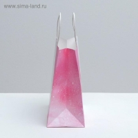 Пакет подарочный крафтовый, упаковка, &laquo;Present for you&raquo;, 22 х 25 х 12 см