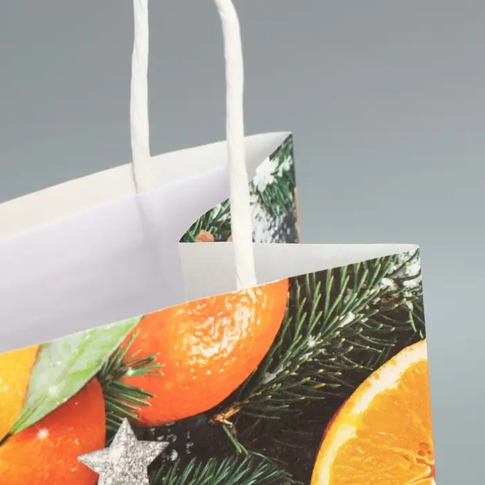 Пакет под бутылку &laquo;Мандарины&raquo;, 13 x 36 x 10 см
