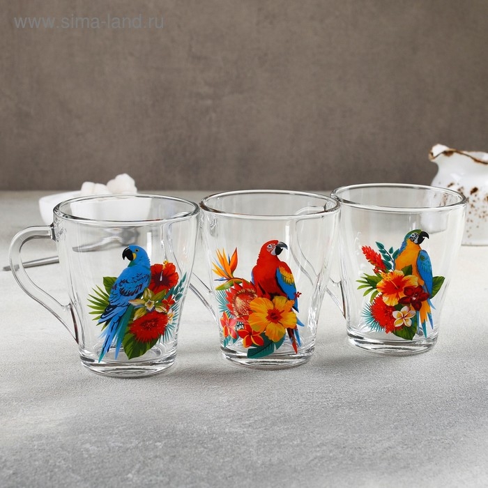 Кружка стеклянная &laquo;Тропические птицы&raquo;, 250 мл, рисунок МИКС