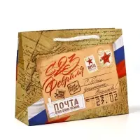 Пакет подарочный ламинированный &laquo;С 23 февраля&raquo;, S 12 х 15 х 5.5 см