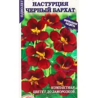 Семена Настурция Черный бархат /Сотка/ 0,5 г/*500