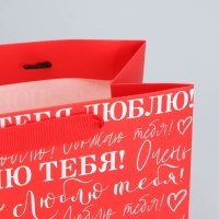 Пакет подарочный ламинированный горизонтальный, упаковка, &laquo;Люблю&raquo;, MS 23 х 18 х 10 см