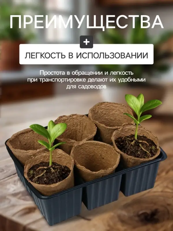 Набор для рассады: торфяной горшок 6&times;6 см, кассета на 6 ячеек, 17.5&times;13.5 см, Greengo