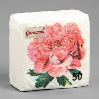 Салфетки бумажные Гармония цвета многоцветие "Пион розовый", 24*24 см 50 листов