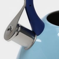 Чайник со свистком из нержавеющей стали Доляна &laquo;Свиристель&raquo;, 3 л, цвет голубой