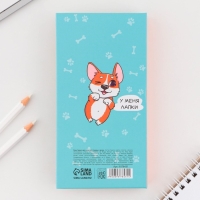 Блок для записей 3 шт. по 30 листов, стикеры, ручка шариковая синяя паста 0,7 мм &laquo;Для тех, укого лапки&raquo;