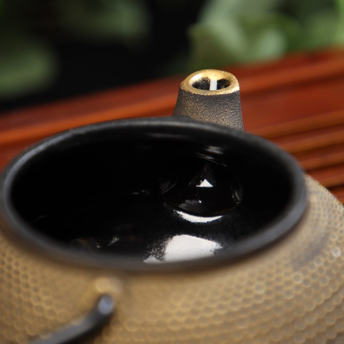 Чайник для плиты Доляна &laquo;Восточная ночь. Золото&raquo;, 300 мл, с ситом, чугун, индукция, цвет золотой