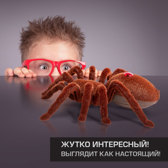 Паук радиоуправляемый &laquo;Тарантул&raquo;, работает от батареек, световые эффекты