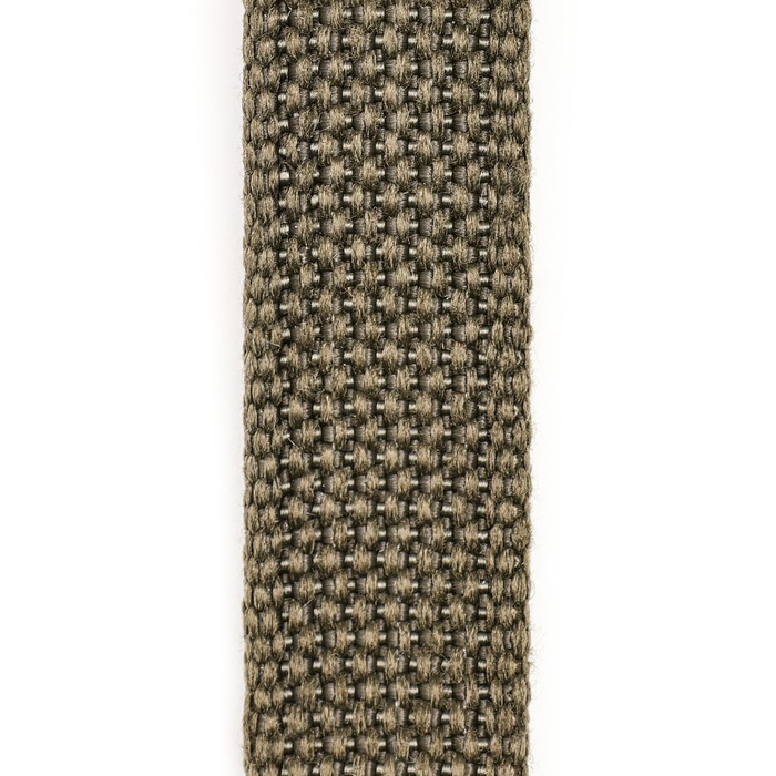 Поводок брезентовый 5 м х 2 см, тёмно-зелёный