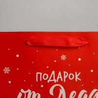 Пакет подарочный новогодний ламинированный &laquo;Подарок от Деда Мороза&raquo;, ML 23 х 27 х 11,5 см, Новый год