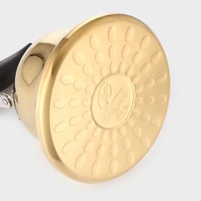 Чайник для плиты из нержавеющей стали &laquo;Голд&raquo;, 2 л, 23&times;19&times;20 см, цвет золотой