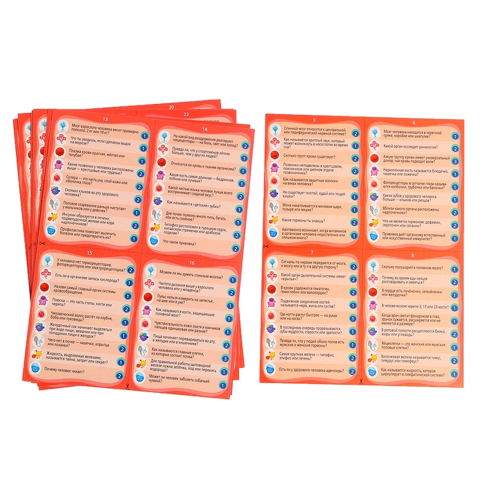 Настольная игра &laquo;Викторина. Как устроен человек?&raquo;, 7-12 лет