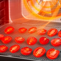 Сушилка для овощей и фруктов электрическая КТ-4949 - 600 Вт