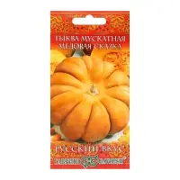 Семена Тыква "Медовая сказка", мускатная 5 шт.