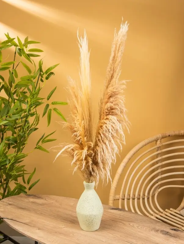 Ваза терракота &laquo;Эдесса&raquo;, 13&times;13&times;24 см, керамика