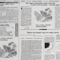 Плёнка матовая &laquo;Флористическая статья&raquo; белый, 57&times;57 см &plusmn;5% см