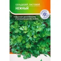 Семена Сельдерей "Нежный" 1 г