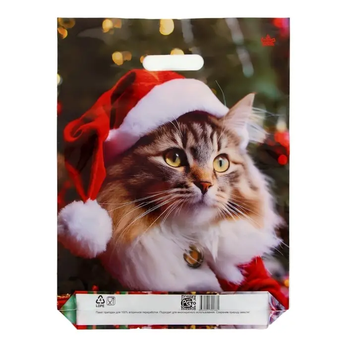 Пакет "Новогодний Мур", полиэтиленовый с вырубной ручкой,гл 40 х 31 см.
