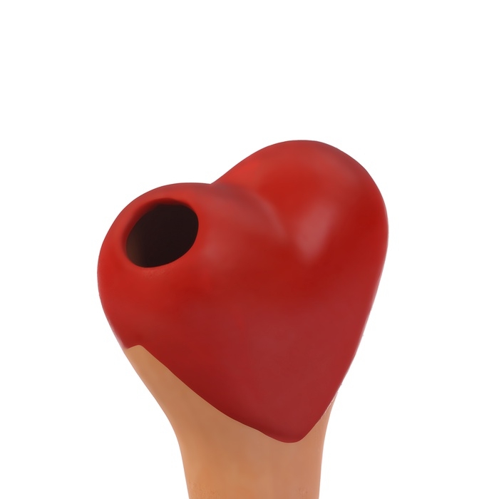 Ороситель &laquo;Сердечко&raquo;, 14&times;4.6см, цвет МИКС, набор 4 шт.