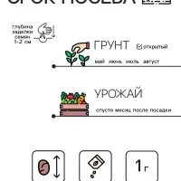 Семена Редис "Рубин", 1 г