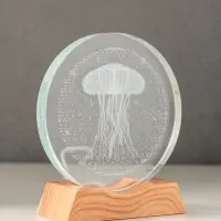 Сувенир стекло свет "Диск. Медуза" 5хLED d=10 см, USB 10х4х11,4 см