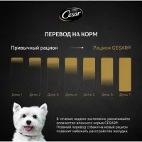 Влажный корм Cesar для собак, паштет с ягнёнком, пауч, 80 г