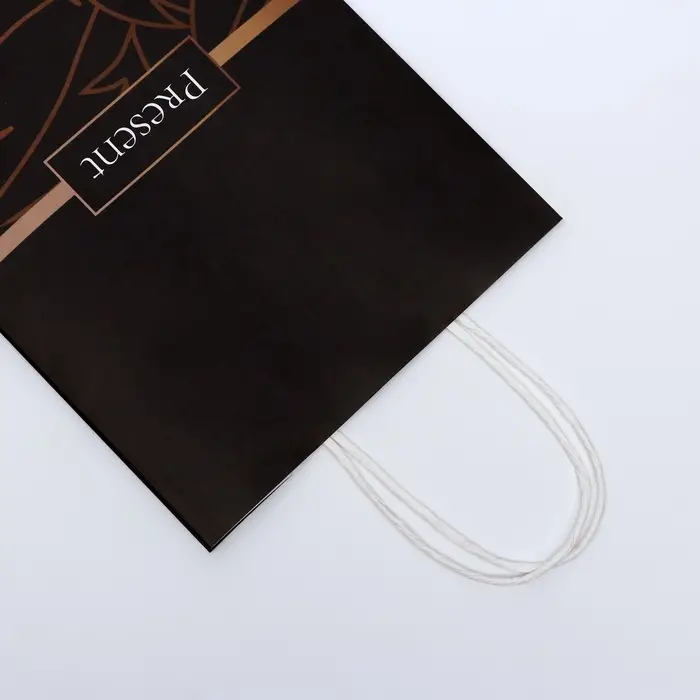 Пакет подарочный крафтовый Present 18&times;8&times;25 см, 120 г/м&sup2;