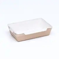 Контейнер с плоской крышкой, крафт, 0,8 л, 19 х 13 х 5,5 см