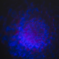 Световой прибор &laquo;Хрустальный шар&raquo; 5 см, поворотное крепление, пульт ДУ, свечение RGB, 220 В