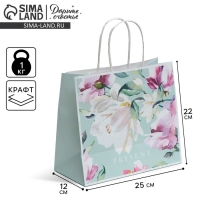 Пакет подарочный крафтовый, упаковка, &laquo;Present&raquo;, 25 х 22 х 12 см