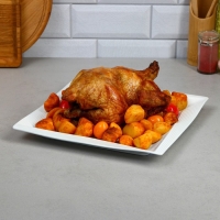 Блюдо &laquo;Негин&raquo;, квардратное, фарфор, Иран