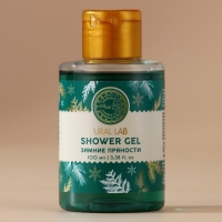 Гель для душа, 100 мл, аромат зимних пряностей, Новый Год