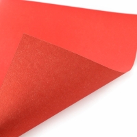 Картон цветной, А4, 8 листов, 8 цветов, немелованный, двусторонний, в папке, 220 г/м&sup2;, Щенячий патруль