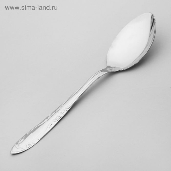 Набор столовых ложек &laquo;Общепит&raquo;, толщина 0,7 мм, длина 19 см, 6 шт, цвет серебряный