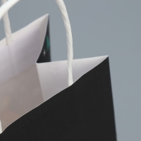 Пакет подарочный новогодний крафтовый &laquo;Ничего&raquo;, 12 х 21 х 9 см, Новый год