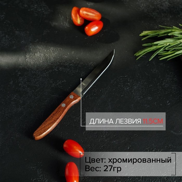 Нож кухонный Доляна &laquo;Эльбрус&raquo;, зубчатое лезвие 11,5 см