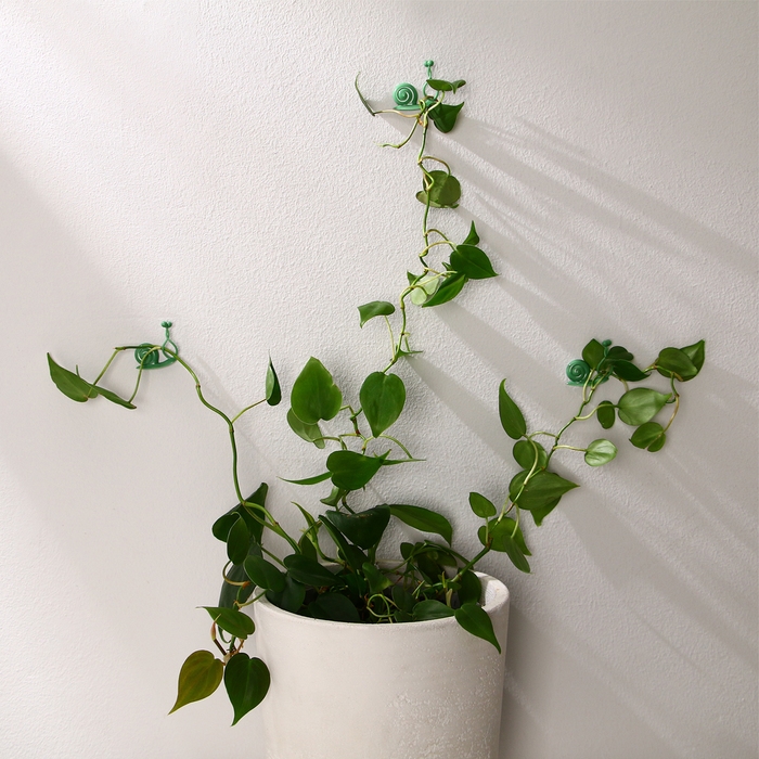 Крепления для вьющихся растений, настенные, самоклеящиеся, &laquo;Улитка&raquo;, d = 10 мм, набор 10 шт., Greengo