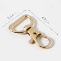 Карабин металлический, 42 &times; 25 мм / 21 &times; 2,1 мм, 5 шт, цвет золотой