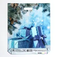 Пакет "Подарки зимы", полиэтиленовый с вырубной ручкой, 45 х 38 см.