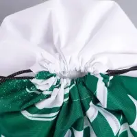 Мешок для обуви &laquo;Спорт - сила&raquo; полиэстер, размер 41&times;34 см